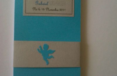 1er carnet de suivi et d'allaitement personnalisé pour mon fils. Turquoise et gris