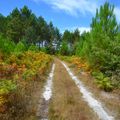 St Symphorien, Gironde