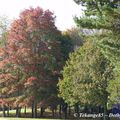 couleurs d'automne