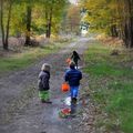 Promenons nous dans les bois...