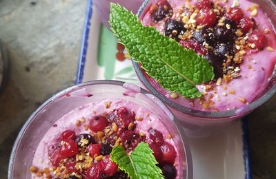 tiramisu aux fruits rouges et lait végétal aux noisettes gourmandes