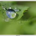 GOUTTE D'EAU