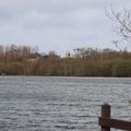 L'étang de La Biardais et le moulin
