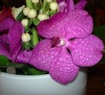 Je couds, tu tricotes, elle crée, nous partageons