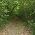 Promenons nous dans les bois.... Euh... Pour être