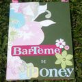 Mini album bapteme de poney