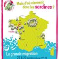 Des sardines d'or et d'argent championnes du monde