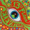 THE 13TH FLOOR ELEVATORS - "Roller coaster "(1966)