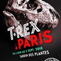 Même pas peur face au T. Rex ...