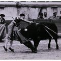 CLERGUE Lucien, détail "Tauromachie", 1960-1965, 