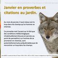 👨‍🌾 Janvier en proverbes et citations par Paysagiste Pays Basque et Paysagiste Landes.