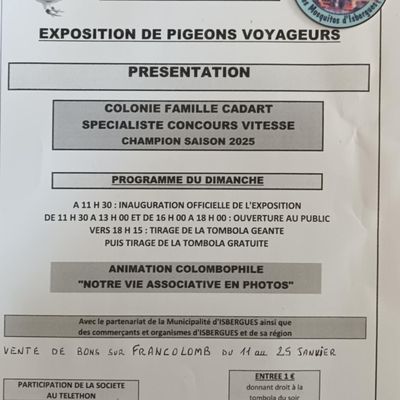 exposition les mosquitos ISBERGUES 