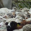 Le Var... Les cascades du Caramy à Carcès...