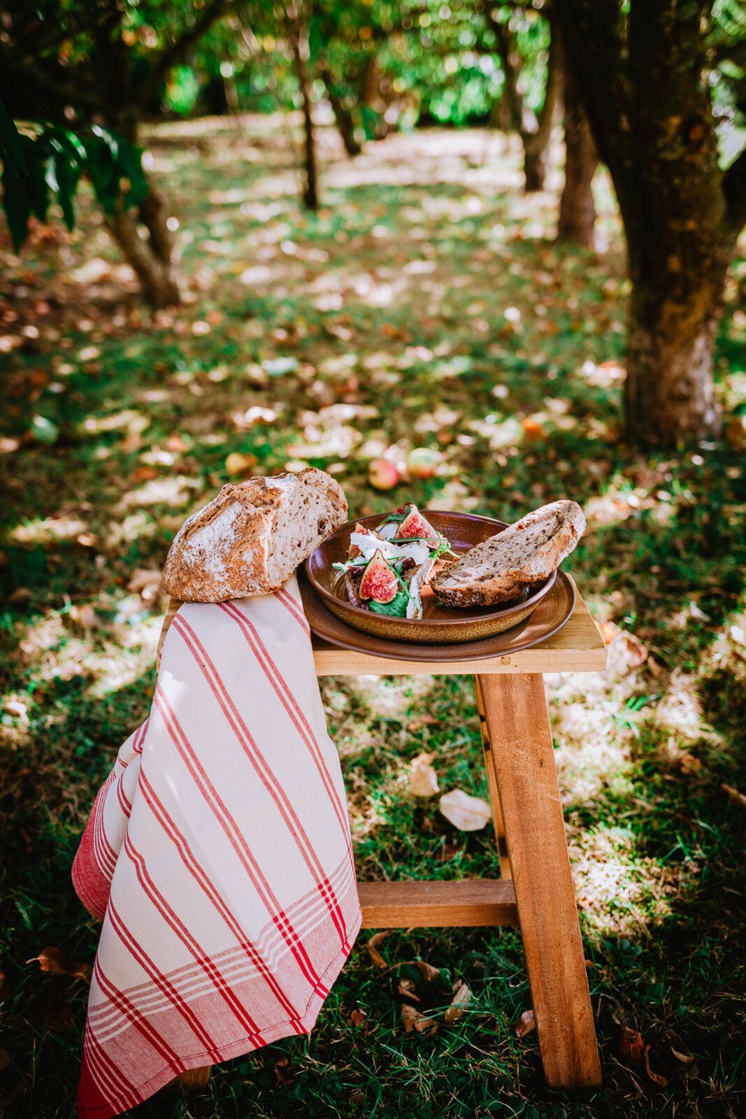 tartines, bruschetta, chèvre, miel, figues, recette automne, facile, rapide, nourrissant, express, roquette, noix