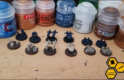 Work in progress... On repapillonne enfin !