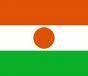 Niger/Moussa Kaka : Lettre ouverte de Puis Njawé