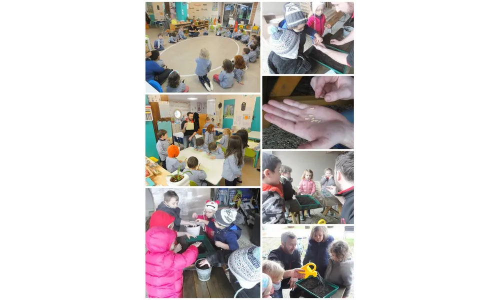 Permaculture à l'école: semis, préparation du potager...