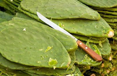 Pierde peso rápido con estas 5 recetas con nopales