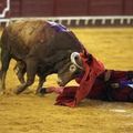 Corrida à Cádiz : José Antonio Morante de la Puebla coule une bielle