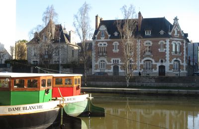 Au soleil de Rennes le 14 février 2019 (6)