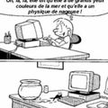 le net