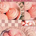 ...ROSE...macarons...