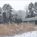 La neige s'est invitée