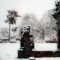 Neige à l'Abbaye du Relec