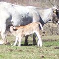 Compte à rebours-semaine S-19 pour les Régionales :quel bilan pour l'Agriculture?