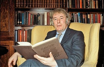 Seamus Heaney (1939 – 2013) : L’homme de Tollund / The Tollund man