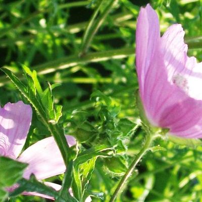 la santé au bout des doigts