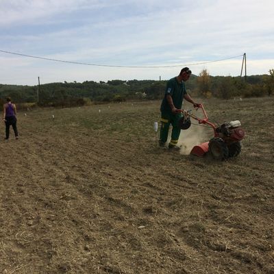Travail d'équipe travail en famille 