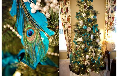 Noël paré de plumes de paon
