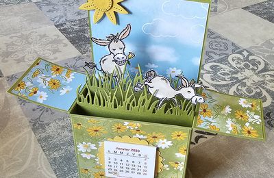 Les petites ânesses dans la prairie