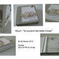 Album " se souvenir des belles choses", kit de février 2014 de la Fée du scrap