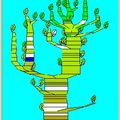 1940-2021 (133) – 1993 Les arbres de connaissance