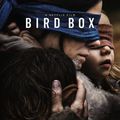 "Bird Box" de Susanne Bier : au royaume des aveugles...