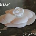 Projet 52 - Semaine 15 - Fleur