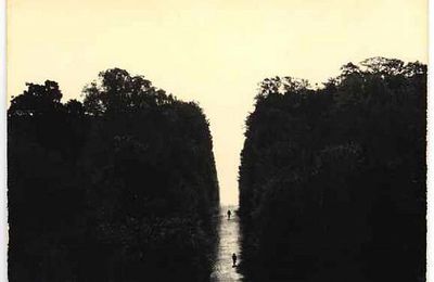 Masao Yamamoto @ Robert Koch Gallery
