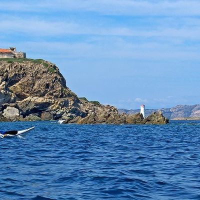 J 33 - Lundi 17 Septembre - attaque de rats, acte 2