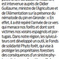 Les risques qui menacent nos forêts de pins