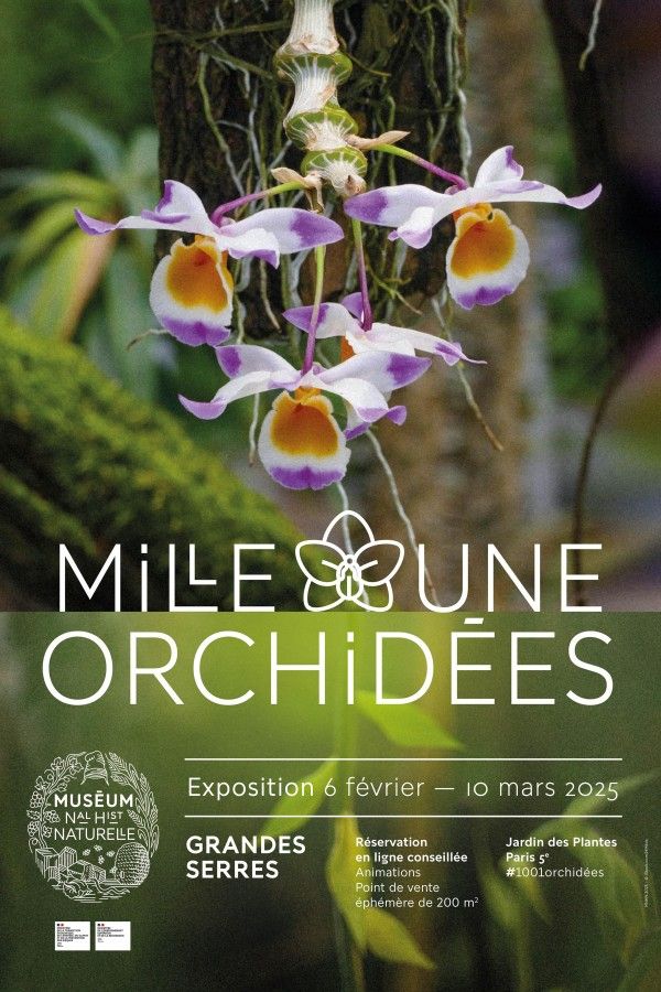 Mille et une Orchidées 2025