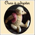 1-OURS A ADOPTER -teddy bear ready to adopt