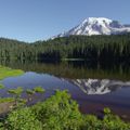 One-month vacation in Mount Rainier Park, by Lise