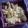 CRUMBLE DE POMME, RHUBARBE