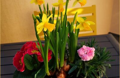 Mes fleurs du dimanche