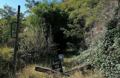 Saint-Etienne – Clermont-Ferrand : le Cerema n’envisage la continuité ferroviaire que dans un scénario sur trois