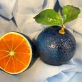 L' orange bleue...