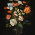 Balthasar van der As, Still life of mixed flowers in a glass vase, with three shells, a grasshopper and a spider on a tabletop