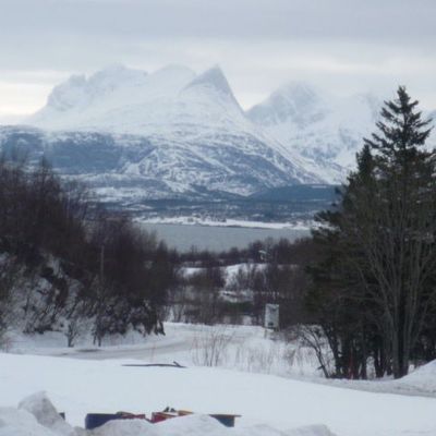 Sur les traces de nos ancêtres...